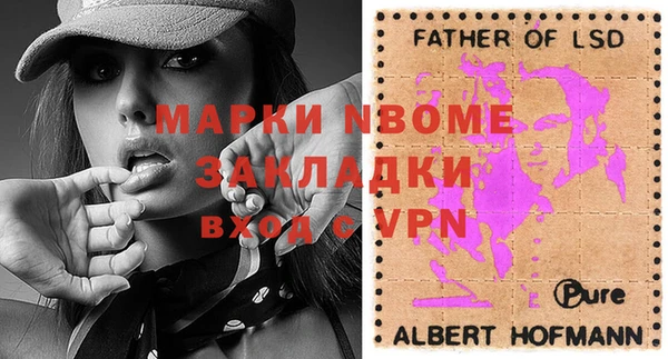 прущие грибы Аркадак