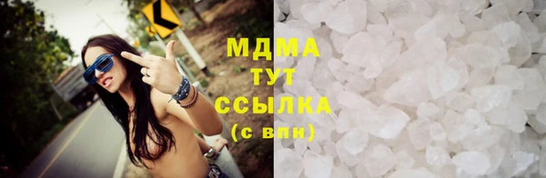 прущие грибы Аркадак
