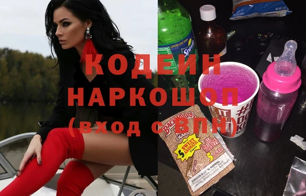 прущие грибы Аркадак