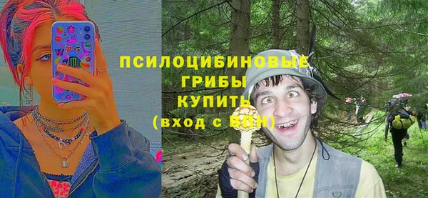 не бодяженный Зерноград