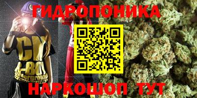 дмт Балахна