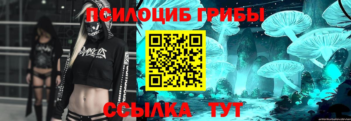 Псилоцибиновые грибы мухоморы Ахтубинск