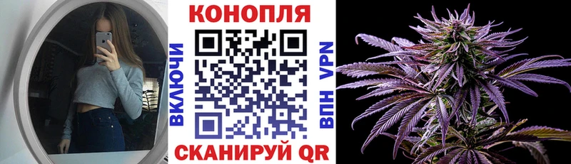 Бошки марихуана планчик  Ахтубинск 
